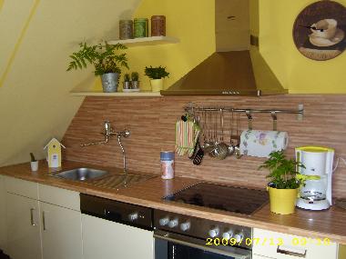 Ferienwohnung in Bad Laasphe-Feudingen (Siegerland-Wittgenstein) oder Ferienwohnung oder Ferienhaus