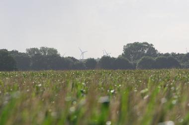 Ferienwohnung in Lathen (Emsland) oder Ferienwohnung oder Ferienhaus