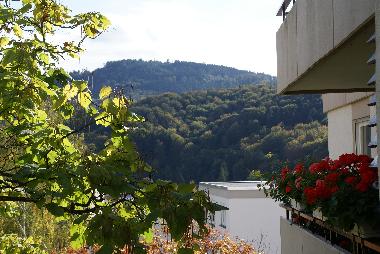 Ferienwohnung in Baden-Baden (Schwarzwald) oder Ferienwohnung oder Ferienhaus