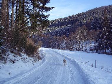Ferienwohnung in Bad Laasphe-Feudingen (Siegerland-Wittgenstein) oder Ferienwohnung oder Ferienhaus