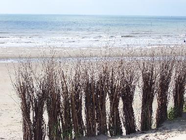 Ferienwohnung in Bredene (Flandern) oder Ferienwohnung oder Ferienhaus