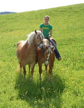 Mehrere Reitmglichkeiten sind in der Umgebung vorhanden.