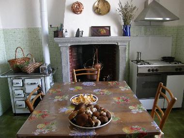 Ferienhaus in Fivizzano (Massa-Carrara) oder Ferienwohnung oder Ferienhaus