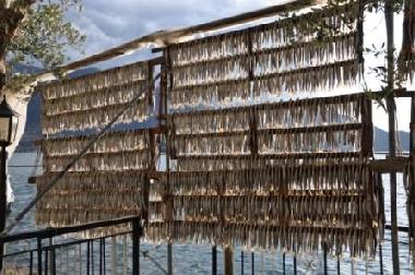 Ferienhaus in MONTE ISOLA (Brescia) oder Ferienwohnung oder Ferienhaus