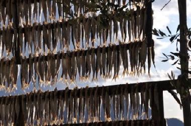 Ferienhaus in MONTE ISOLA (Brescia) oder Ferienwohnung oder Ferienhaus