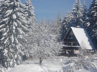 Ferienhaus in Ljubljana-Preserje (Ljubljana) oder Ferienwohnung oder Ferienhaus