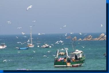 Ferienhaus in Ploun�our-Trez (Finist�re) oder Ferienwohnung oder Ferienhaus