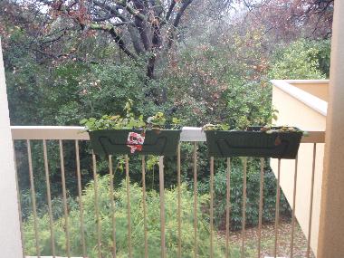 Ferienwohnung in Juan les Pins (Alpes-Maritimes) oder Ferienwohnung oder Ferienhaus