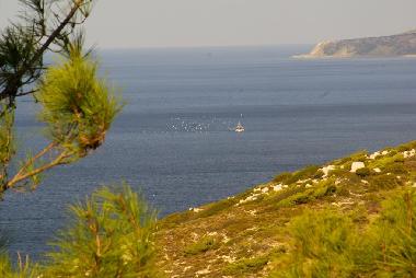 Blick aus dem Zimmer
