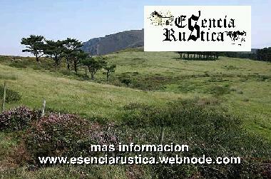 Pension in Curtis (A Coru�a) oder Ferienwohnung oder Ferienhaus