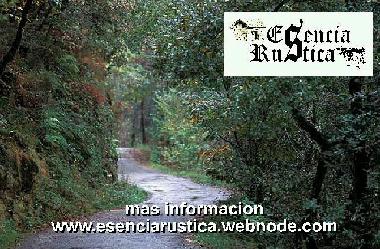 Pension in Curtis (A Coru�a) oder Ferienwohnung oder Ferienhaus