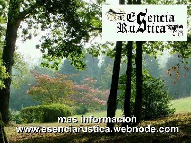 Pension in Curtis (A Coru�a) oder Ferienwohnung oder Ferienhaus