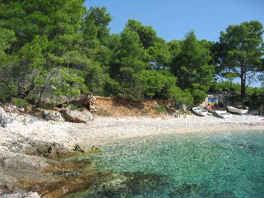 Ferienwohnung in Zavala (Splitsko-Dalmatinska) oder Ferienwohnung oder Ferienhaus