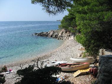 Ferienwohnung in Zavala (Splitsko-Dalmatinska) oder Ferienwohnung oder Ferienhaus
