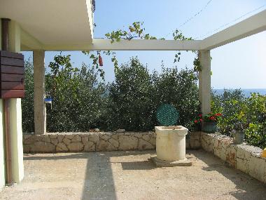 Ferienwohnung in Zavala (Splitsko-Dalmatinska) oder Ferienwohnung oder Ferienhaus