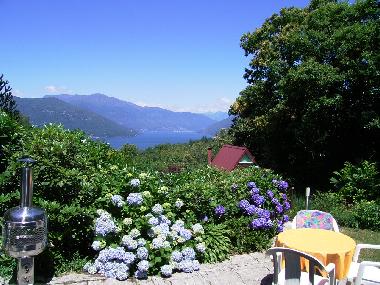im Sommer- Hortensien wo das Auge hinblickt - und der Lago dazu