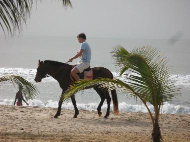 Ferienhaus in Muslandsv�g (Rogaland) oder Ferienwohnung oder Ferienhaus