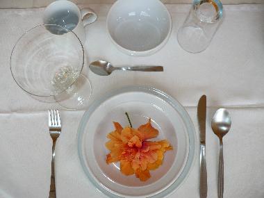 Ferienwohnung in 100.00 (Puntarenas) oder Ferienwohnung oder Ferienhaus