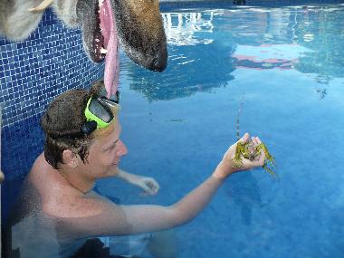 Ferienwohnung in 100.00 (Puntarenas) oder Ferienwohnung oder Ferienhaus