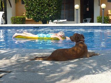 Ferienwohnung in 100.00 (Puntarenas) oder Ferienwohnung oder Ferienhaus