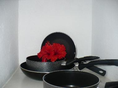 Ferienwohnung in 100.00 (Puntarenas) oder Ferienwohnung oder Ferienhaus