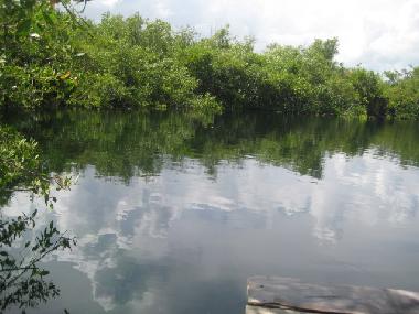 Ferienwohnung in TULUM ,MACARIO GOMEZ ,MEXICO (Quintana Roo) oder Ferienwohnung oder Ferienhaus