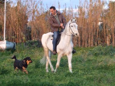 Ferienhaus in Cefalu (Palermo) oder Ferienwohnung oder Ferienhaus