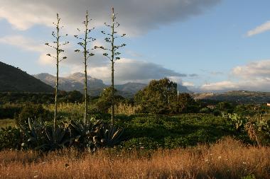 Ferienhaus in Cefalu (Palermo) oder Ferienwohnung oder Ferienhaus