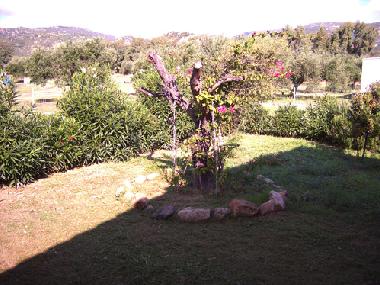 Gartenbereich