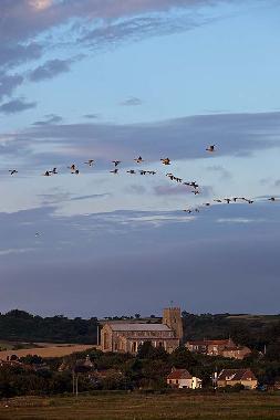Ferienhaus in Hindolveston (East Anglia) oder Ferienwohnung oder Ferienhaus