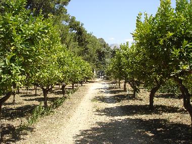 Ferienhaus in Cefalu (Palermo) oder Ferienwohnung oder Ferienhaus
