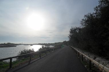 Ferienhaus in St Laurent de la Salanque (Pyr�n�es-Orientales) oder Ferienwohnung oder Ferienhaus