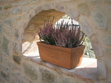 Ferienhaus in Parma (Parma) oder Ferienwohnung oder Ferienhaus