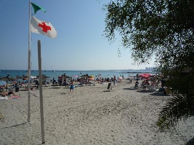 Ferienwohnung in Torrevieja (Alicante / Alacant) oder Ferienwohnung oder Ferienhaus