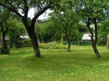 Obstgarten