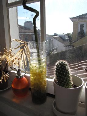 Ferienwohnung in Lisbon (Grande Lisboa) oder Ferienwohnung oder Ferienhaus