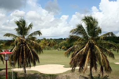 Ferienhaus in Saint Fran�ois (Guadeloupe) oder Ferienwohnung oder Ferienhaus