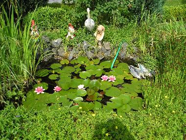 Idylle am Haus