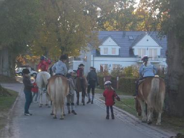 Reitanlage ganz in der N�he