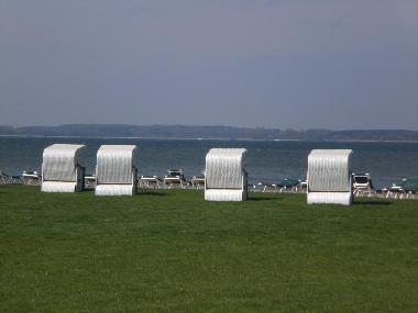 Strand am Fleesensee mit vielen Angeboten