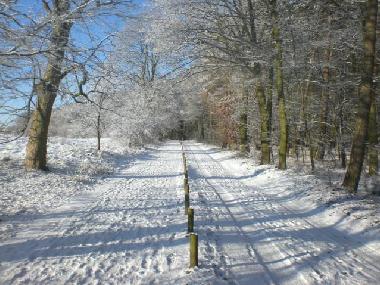 Ferienwohnung in G�hren-Lebbin  (Mecklenburgische Seenplatte) oder Ferienwohnung oder Ferienhaus