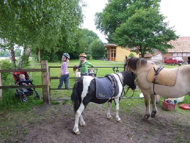 Ferienwohnung in Meppen / Helte (Emsland) oder Ferienwohnung oder Ferienhaus