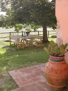 Toskanische Brotzeit im Schatten einer alten Linde.