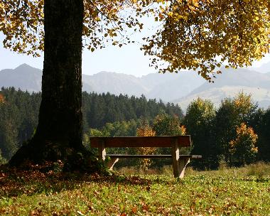 Schne Wanderwege ab dem Haus, zu romantischen Pltzchen.