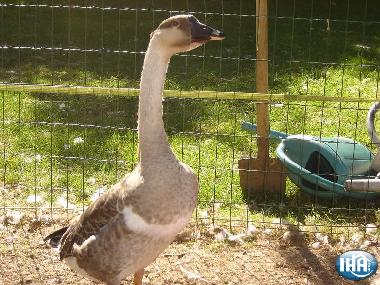 Pension in dury (Aisne) oder Ferienwohnung oder Ferienhaus