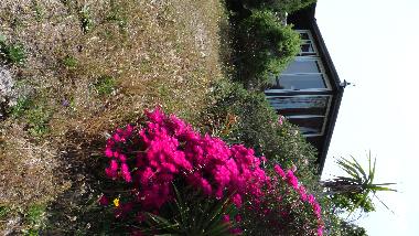 Ferienhaus in Santa Teresa di Gallura (Sassari) oder Ferienwohnung oder Ferienhaus