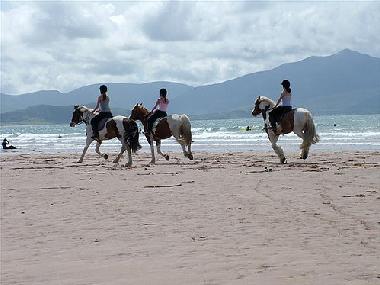 Ferienhaus in Castlegregory (Kerry) oder Ferienwohnung oder Ferienhaus