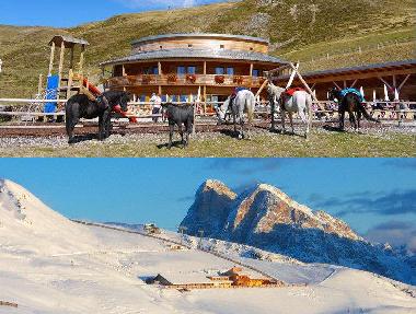 Chalet in Bressanone (Bolzano-Bozen) oder Ferienwohnung oder Ferienhaus