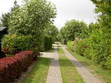 Ferienhaus in Den Burg (Noord-Holland) oder Ferienwohnung oder Ferienhaus