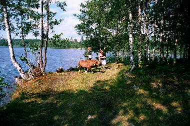 unser einier von vielen badeplatz auch f�r pferde Ferienhaus am 